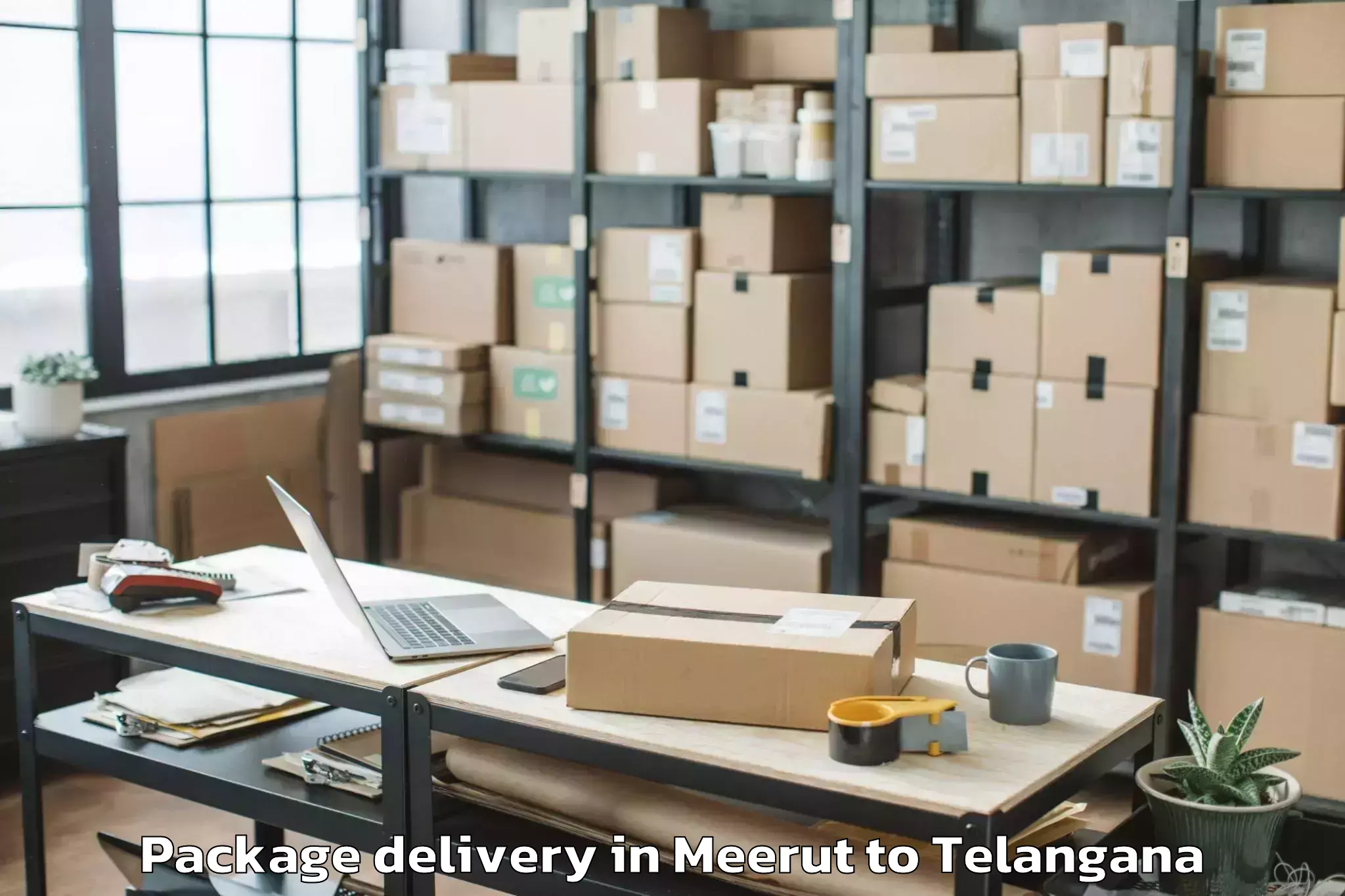 Get Meerut to Konijerla Package Delivery